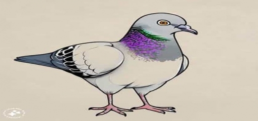 نقاشی کبوتر کودکانه ساده رنگی در حال پرواز